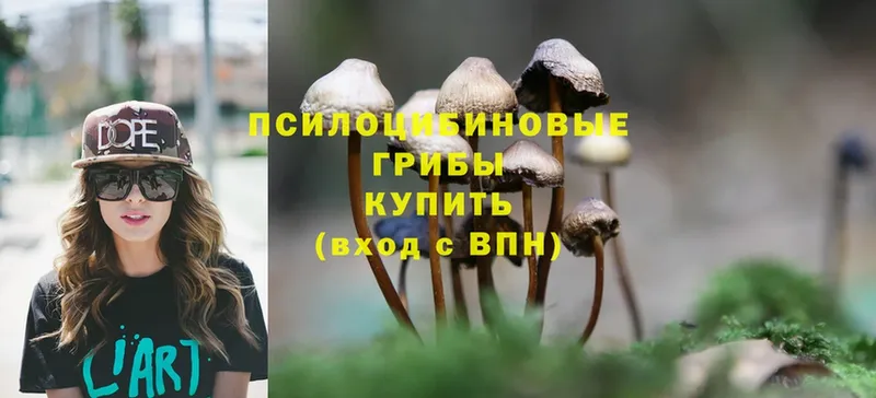 Псилоцибиновые грибы MAGIC MUSHROOMS  Нягань 